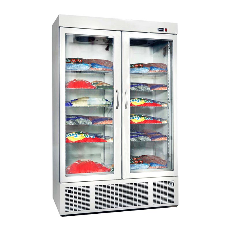 Frenox Cam Kapili Teshir Derin Dondurucu GL-13 2 Kapi G