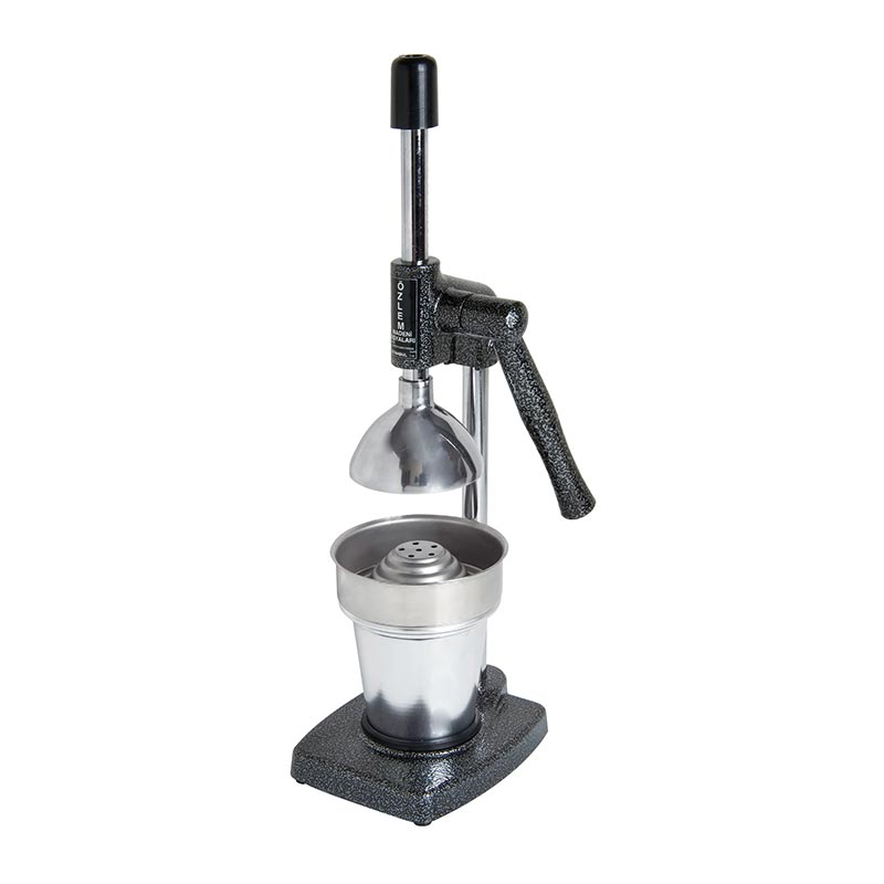 Ozlem Kollu Portakal Sikacagi Ev Tipi